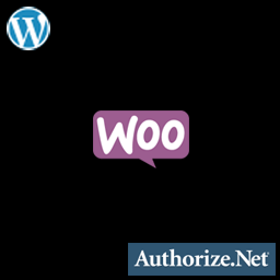 Authorize.Net/eProcessing Network Payment Gateway for WooCommerce