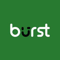 Burst Statistics – Privacy-Friendly Analytics for WordPress