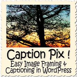 CaptionPix