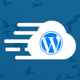 Cloudways WordPress Migrator