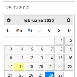 Custom Datepicker NMR