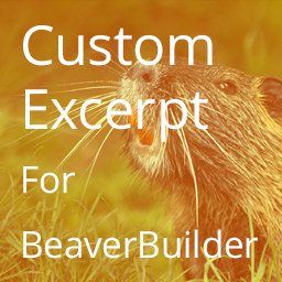 Excerpt Editor for Beaver Builder