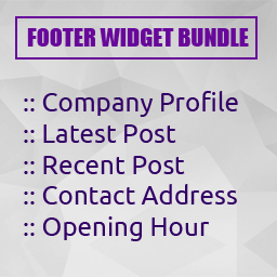 Footer widget bundle