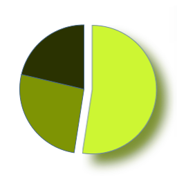 Goo Pie Chart