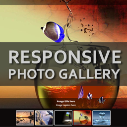 Image Gallery – Responsive Photo Gallery