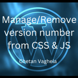 Manage/Remove version number from CSS & JS