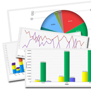 Ni WooCommerce Sales Report