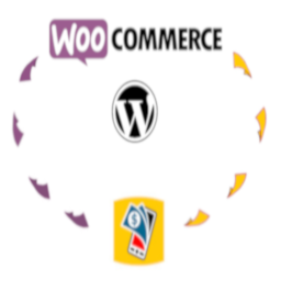 Payment Gateway for MTN MoMo on WooCommerce