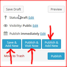 Publish And Redirect To Add New Post