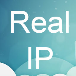 Real IP Detector