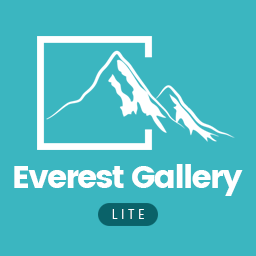 Responsive Media Gallery Plugin for WordPress – Everest Gallery Lite