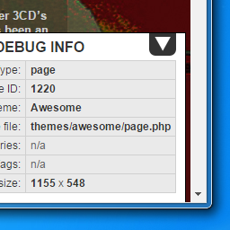 Simple Debug Info Panel