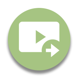 Video Embed Optimizer