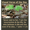 Visual Bible Verse of the Day Widget