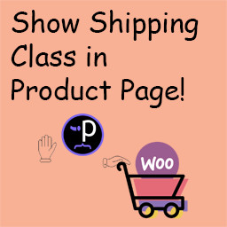 WooCommerce Show Shipping Class in Product Page