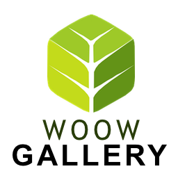 WoowGallery – image gallery / content gallery / ecommerce gallery / social gallery / video gallery / album photo gallery